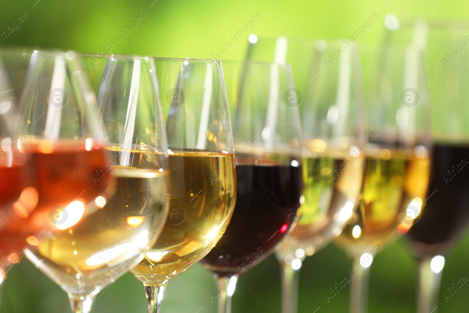 Photo of Different tasty wines in glasses against blurred background, closeup. Space for text