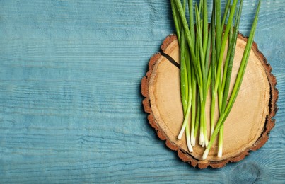 Photo of Fresh green onion on blue wooden table, top view. Space for text