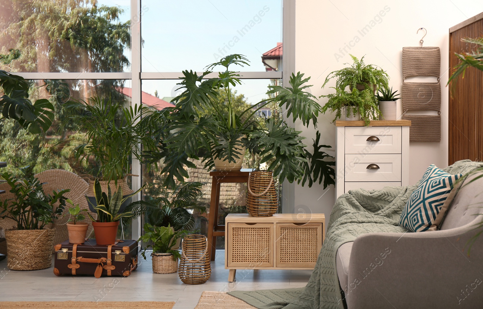 Photo of Stylish living room with beautiful plants. Interior design