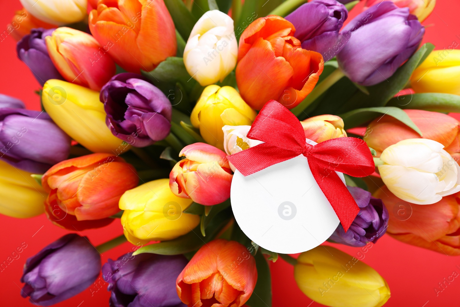 Photo of Bouquet of beautiful colorful tulips with blank card on red background, closeup. Birthday celebration