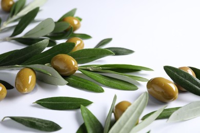 Fresh green olives and leaves on white background