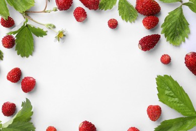 Photo of Frame of many fresh wild strawberries, flower and leaves on white background, flat lay. Space for text