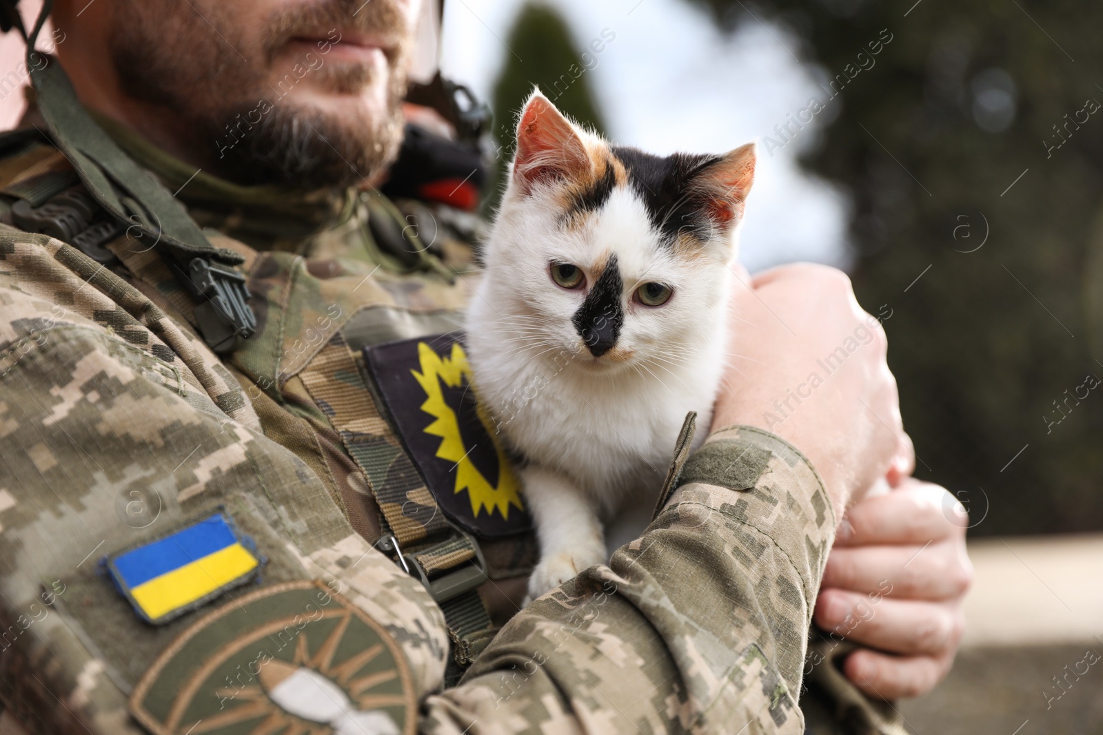 Photo of Ukrainian soldier with stray cat outdoors, closeup