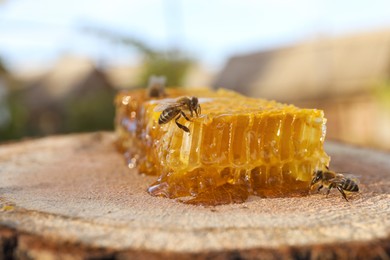 Photo of Piece of fresh honeycomb with bees on wood stump against blurred background, closeup