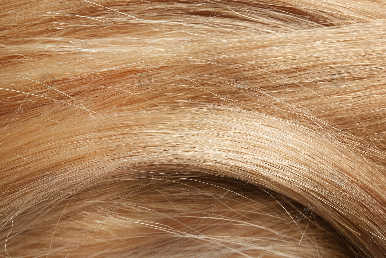 Photo of Texture of healthy blond hair as background, closeup