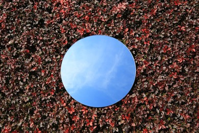 Photo of Round mirror on red and brown leaves reflecting sky, top view