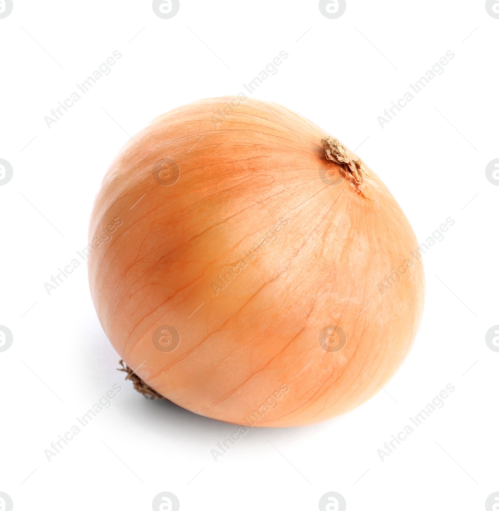 Photo of Fresh ripe onion bulb on white background