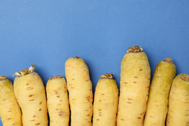 Photo of Whole raw white carrots on blue background, flat lay