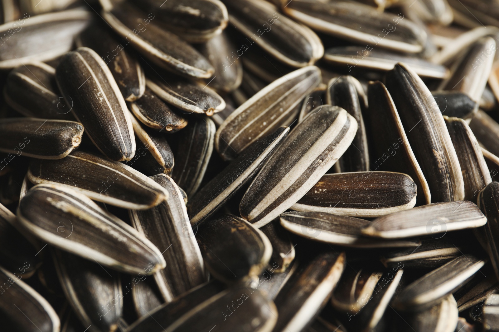 Photo of Raw sunflower seeds as background, closeup view