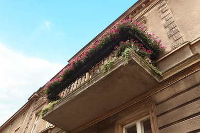 Photo of Balcony decorated with beautiful pink flowers, low angle view