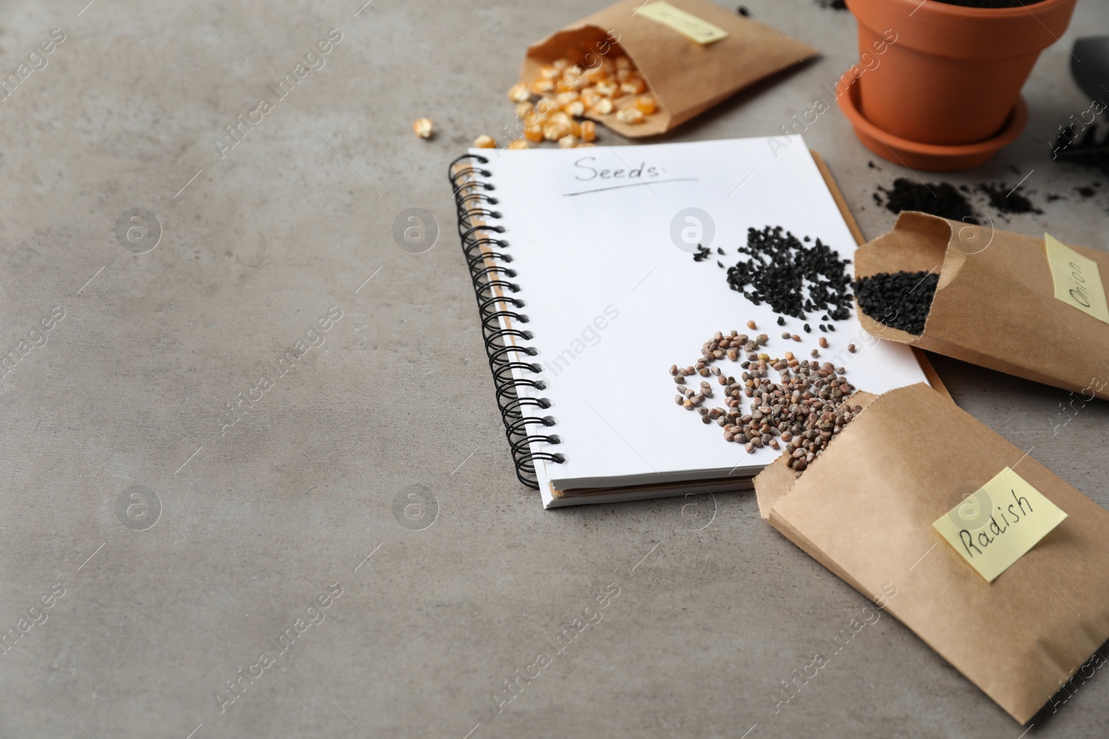 Photo of Different vegetable seeds and notebook on grey table. Space for text