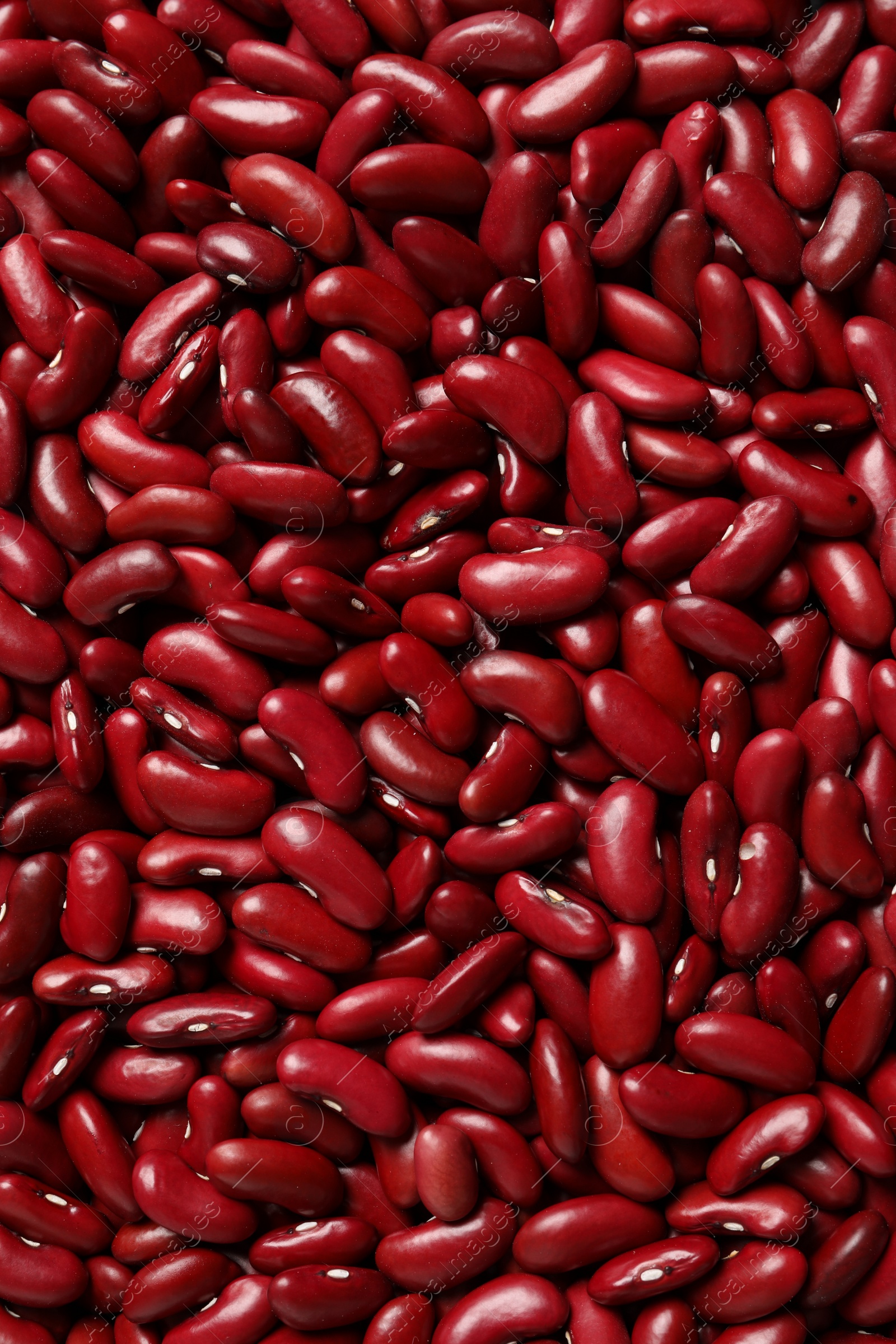 Photo of Top view of raw red kidney beans as background