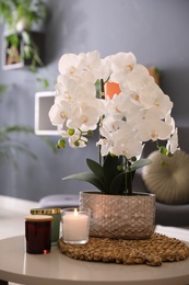 Photo of Beautiful white orchids and candles on table in room. Interior design