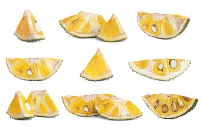 Set with slices of delicious exotic jackfruit on white background