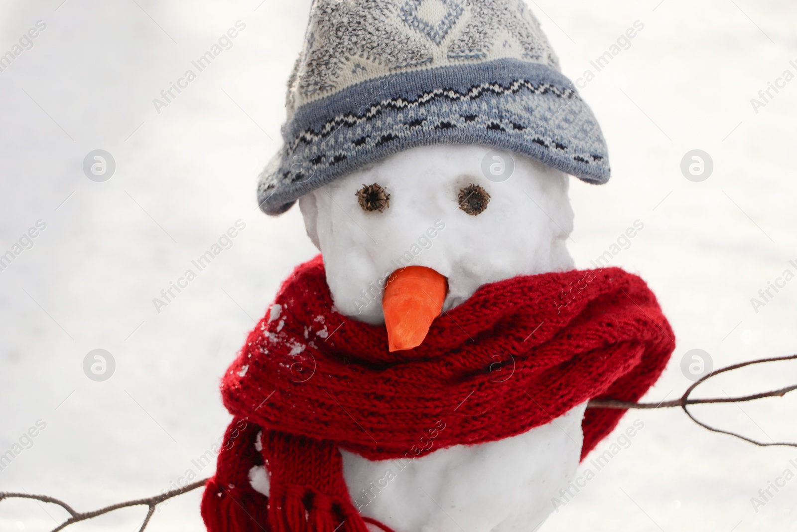 Photo of Funny snowman with scarf and hat outdoors, closeup