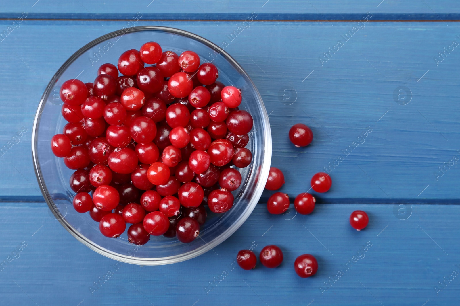 Photo of Fresh ripe cranberries in glass bowl on blue wooden table, top view