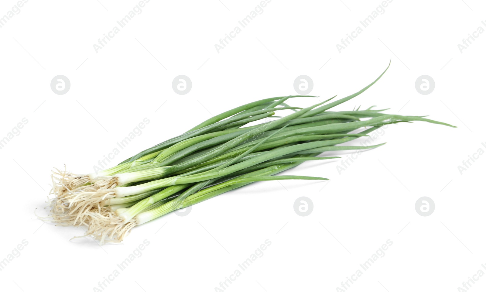 Photo of Fresh green spring onions isolated on white