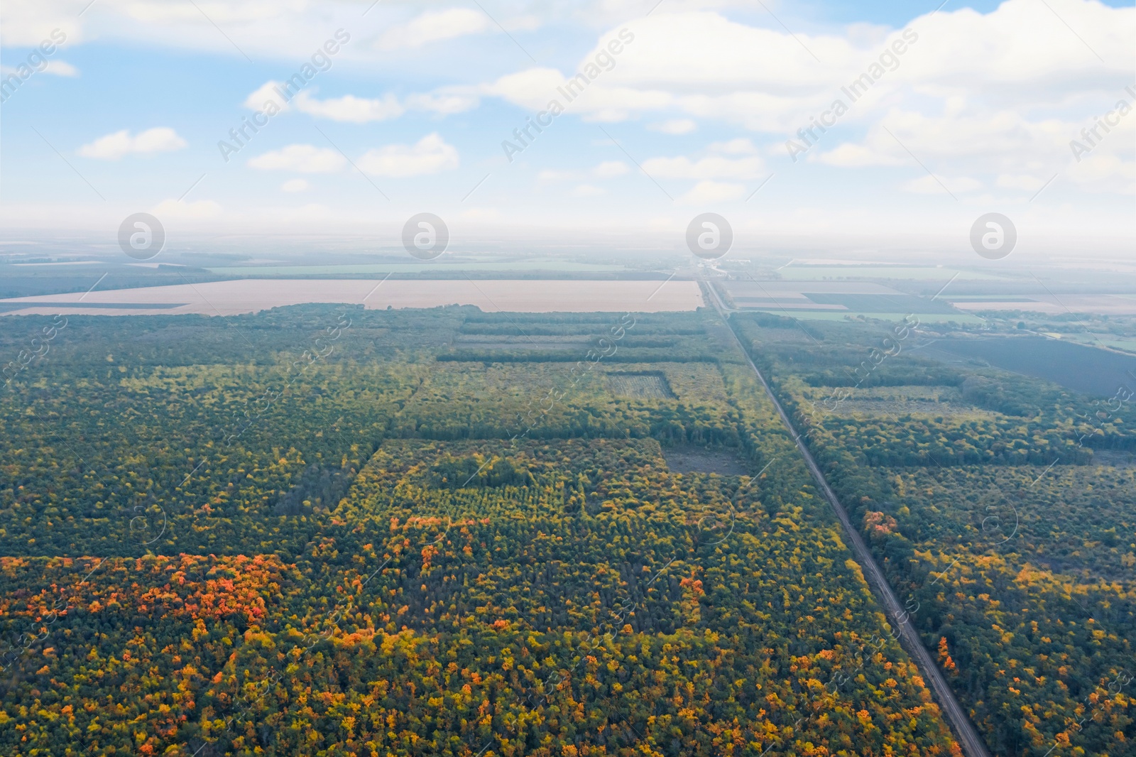 Image of Aerial view of beautiful autumn forest and agricultural fields