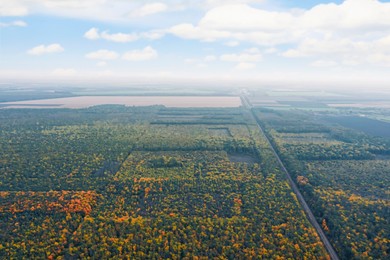 Image of Aerial view of beautiful autumn forest and agricultural fields
