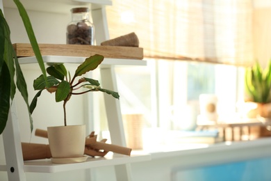 Photo of Shelving unit with decor elements and houseplant indoors. Stylish interior