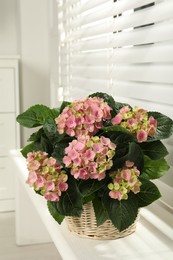 Photo of Beautiful blooming pink hortensia in wicker basket on window sill indoors