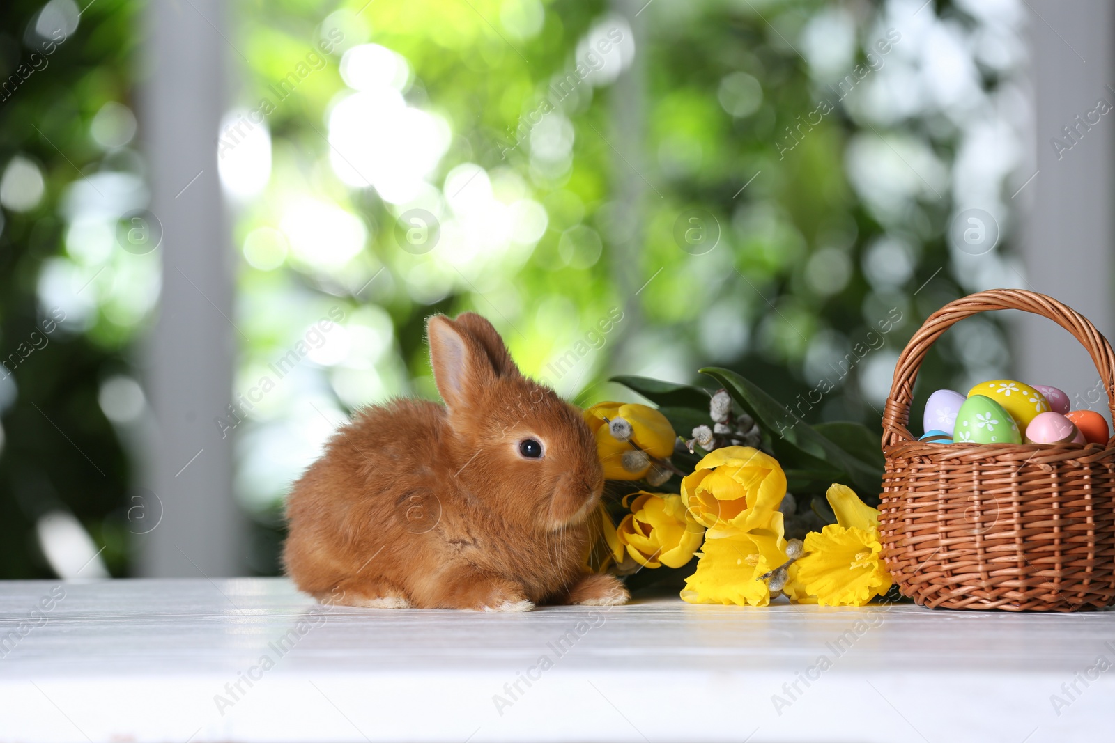 Photo of Adorable furry bunny, dyed Easter eggs and flowers on white wooden table against blurred green background