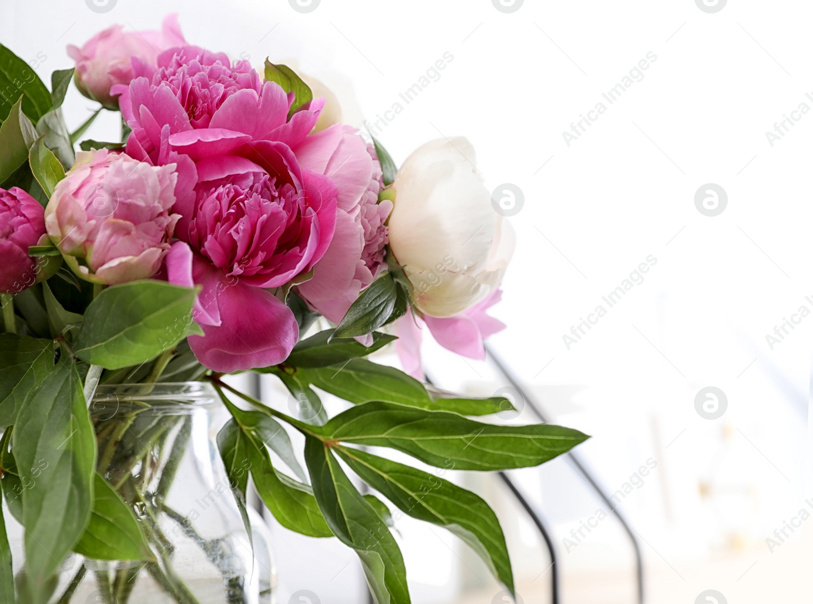 Photo of Vase with bouquet of beautiful peonies near white wall, space for text