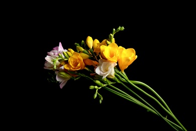 Photo of Bouquet of beautiful freesia flowers on black background