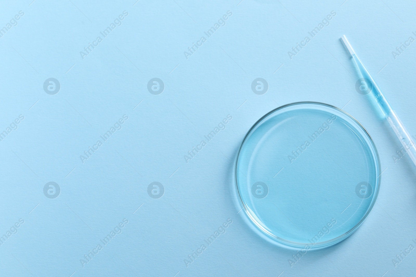 Photo of Transfer pipette and petri dish on light blue background, top view. Space for text