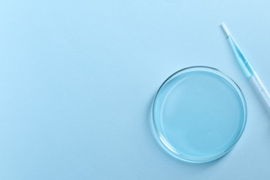 Transfer pipette and petri dish on light blue background, top view. Space for text