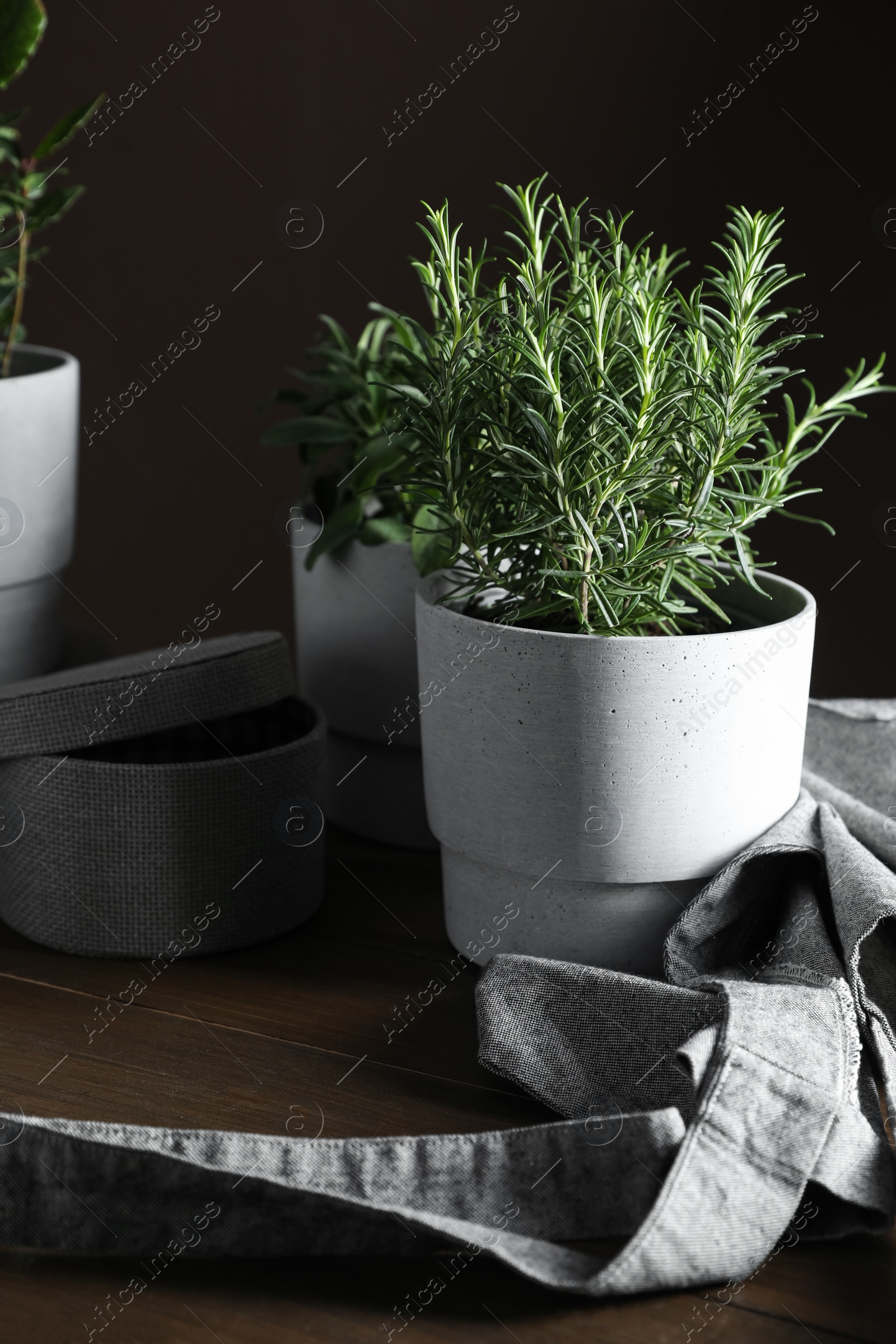 Photo of Different aromatic potted herbs on wooden table