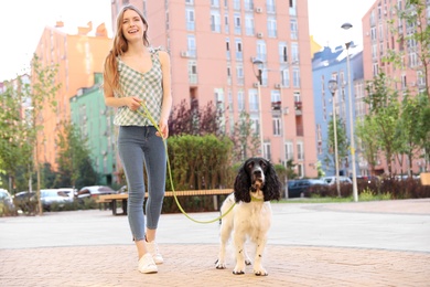 Woman walking English Springer Spaniel dog outdoors