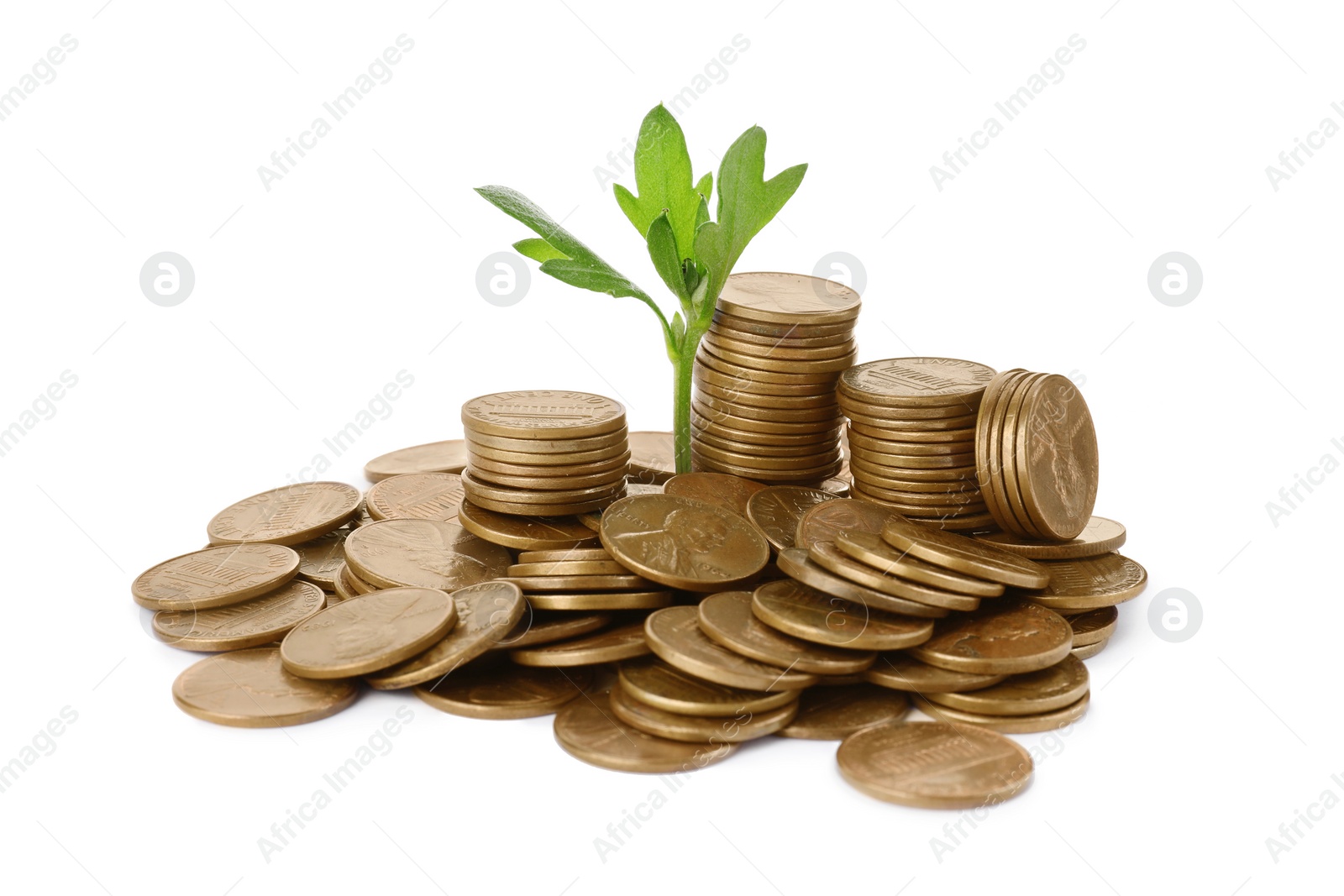 Photo of Pile of coins and green plant on white background. Investment concept