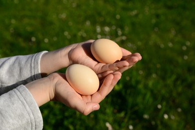 Photo of Child holding raw chicken eggs outdoors, closeup