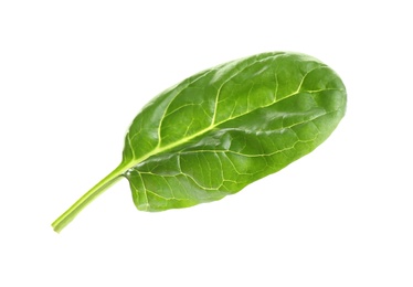 Photo of Fresh green healthy baby spinach leaf isolated on white