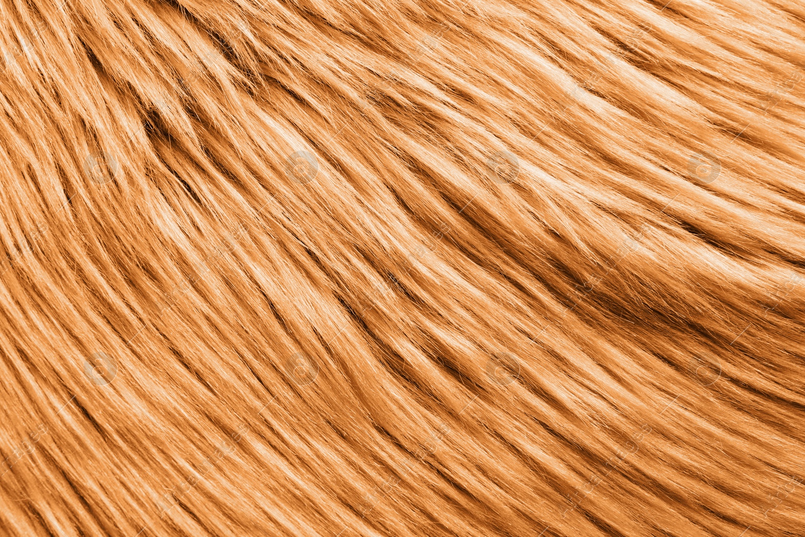 Image of Texture of orange faux fur as background, closeup