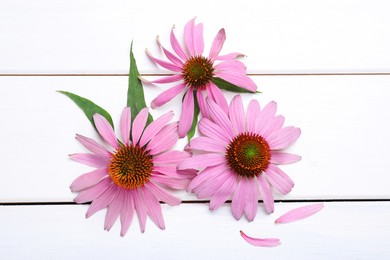 Beautiful echinacea flowers on white wooden table, flat lay