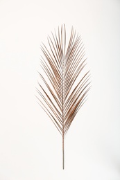 Photo of Painted tropical Date palm leaf on white background, top view