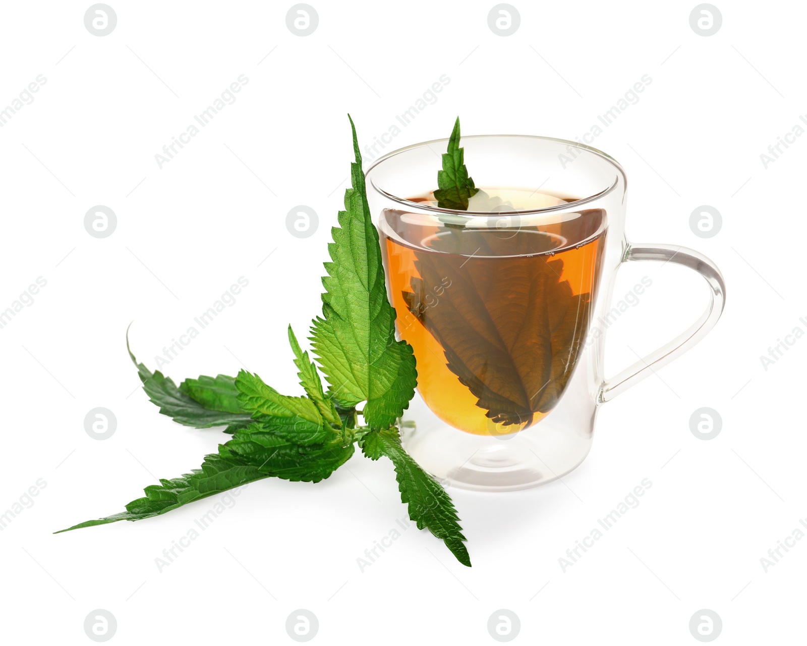 Photo of Glass cup of aromatic nettle tea and green leaves on white background