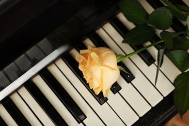 Photo of Beautiful yellow rose on piano keys, top view