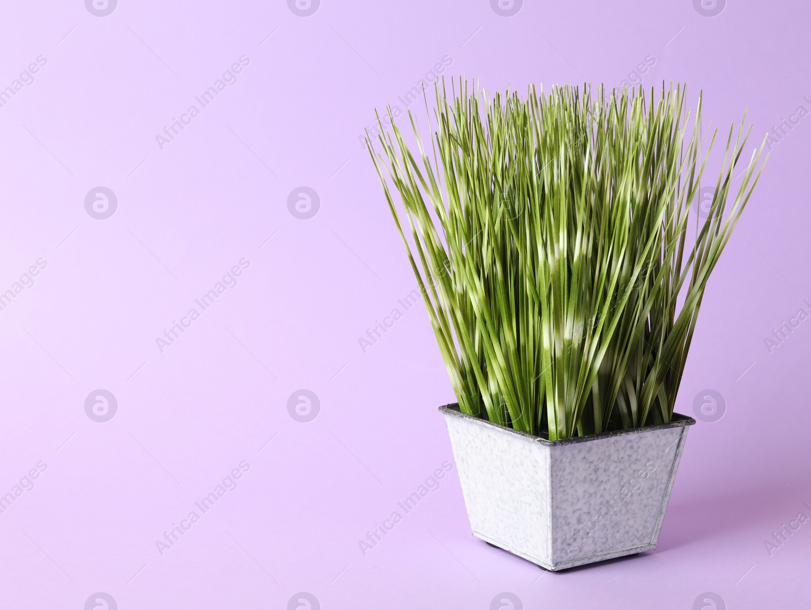 Photo of Beautiful artificial plant in flower pot on violet background, space for text