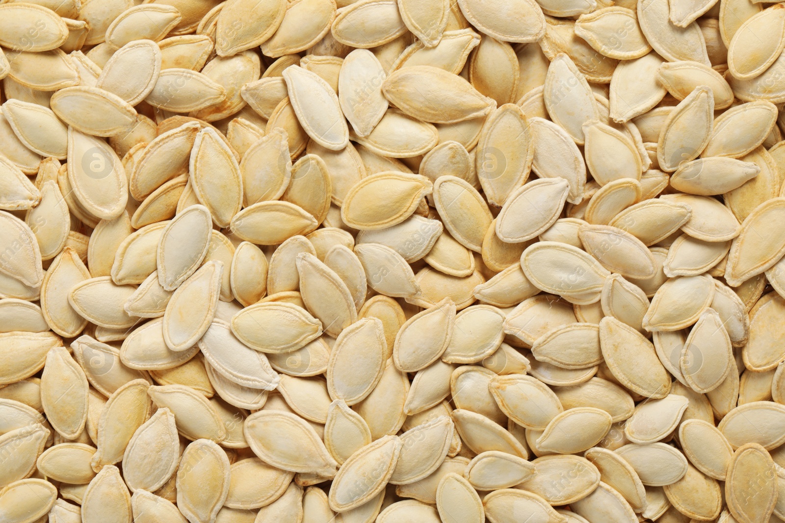 Photo of Many pumpkin seeds as background, top view