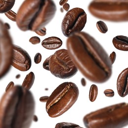 Roasted coffee beans falling o white background