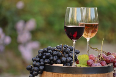 Photo of Delicious wines and ripe grapes on wooden barrel outdoors, space for text