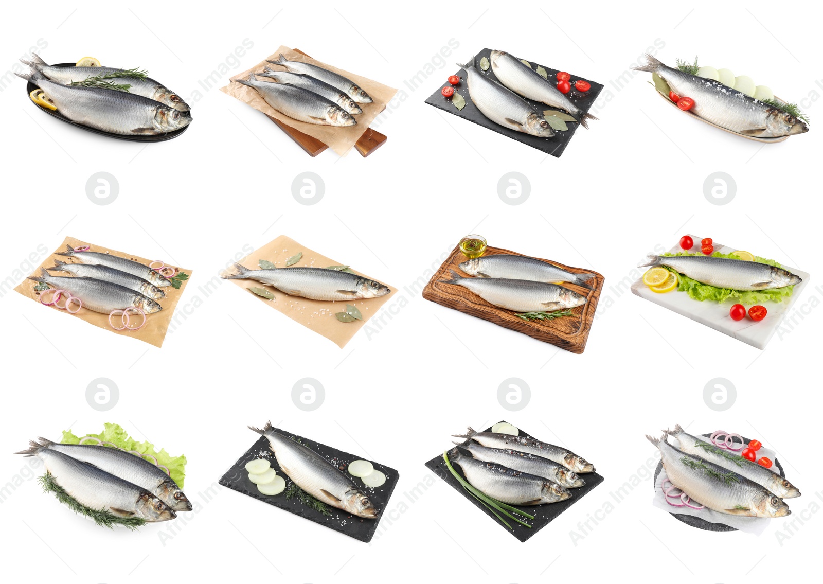 Image of Set with tasty salted herrings on white background