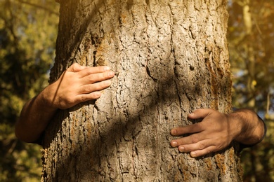 Man hugging tree in forest on sunny day