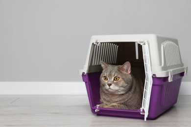 Photo of Travel with pet. Cute cat in carrier on floor near grey wall indoors, space for text
