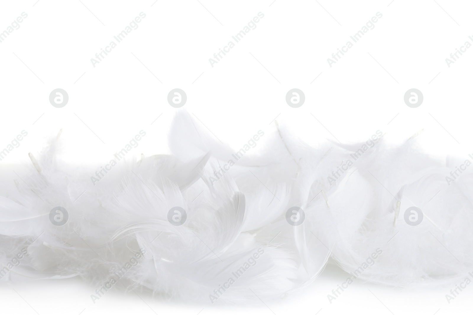 Photo of Beautiful fluffy bird feathers isolated on white