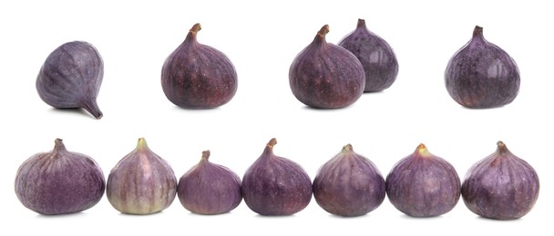 Image of Set with tasty ripe whole purple figs on white background. Banner design