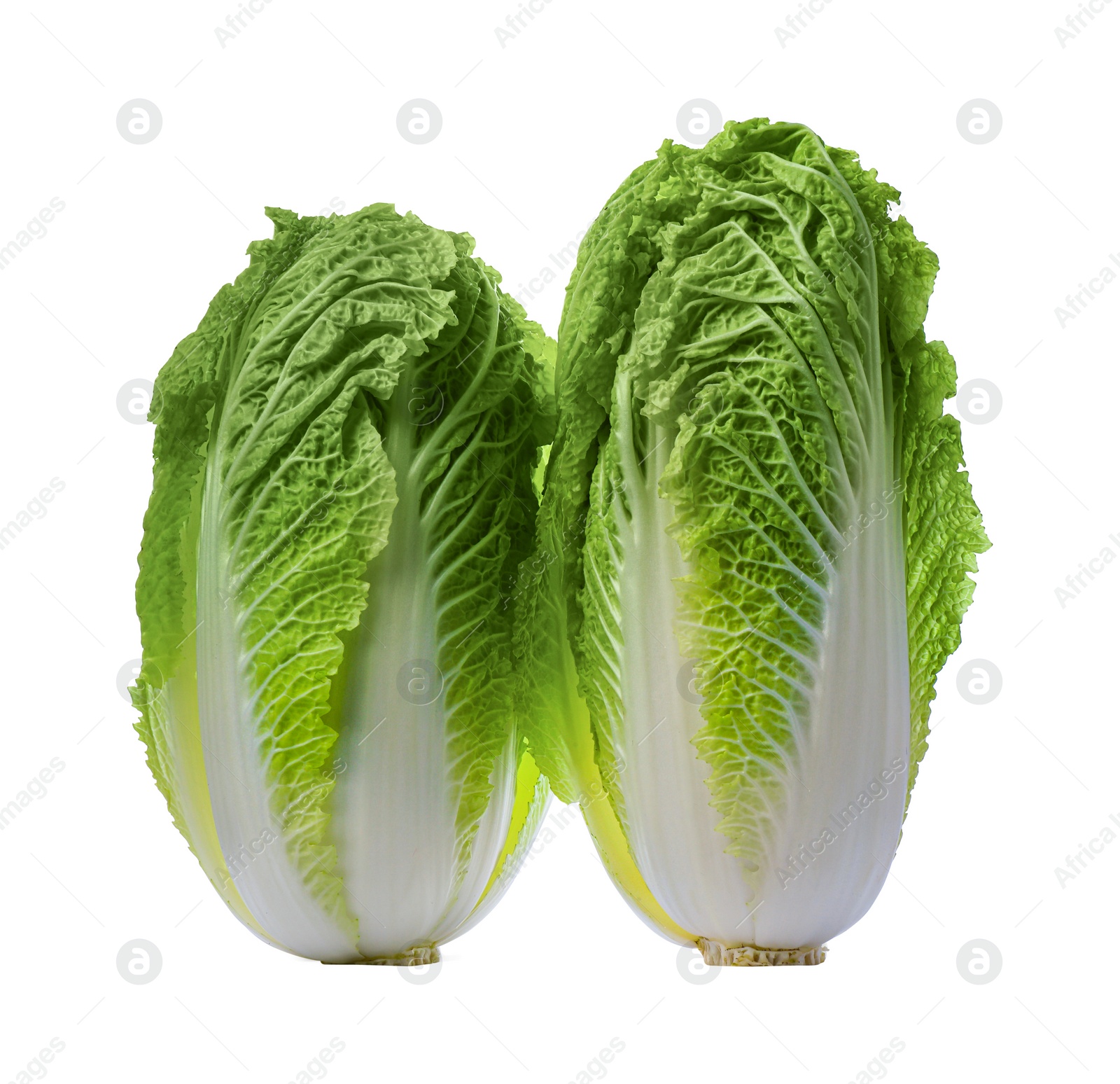 Photo of Fresh tasty Chinese cabbages on white background